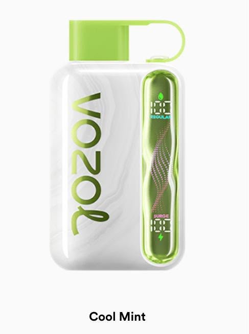 coolmint Buy Vozol 40k Puffs Cool Mint sharp and highly refreshing winter mint leaf flavor vape online.
