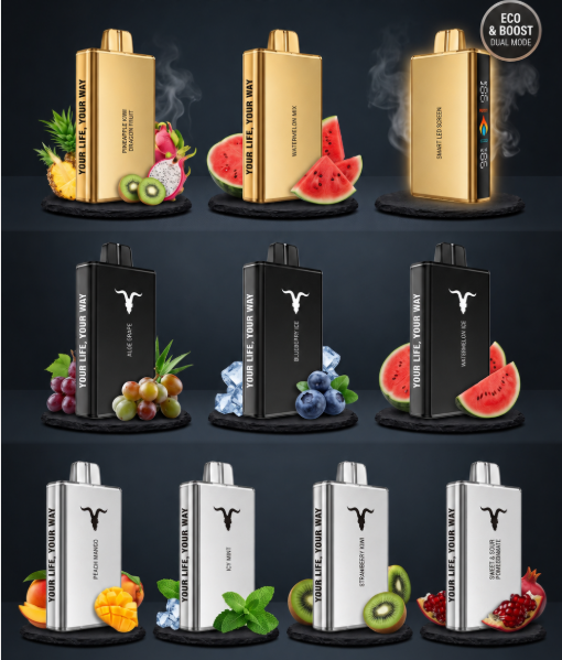 ignitev25 Ignite V250 25000 Puffs Disposable Vape showing the dual Eco and Boost screen interface available at US Vape UAE