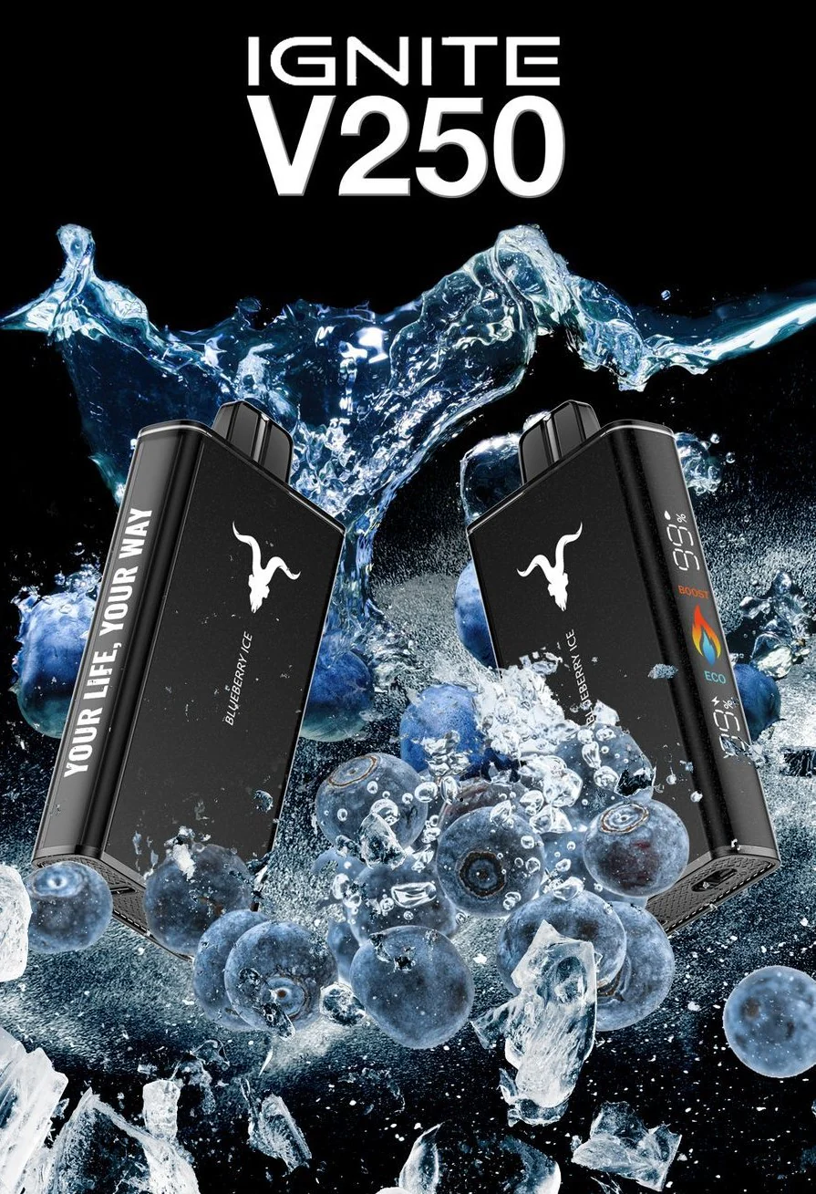 ignitev250blueberryice_1024x1024@2x Ignite V250 25000 Puffs Blueberry Ice cooling vape