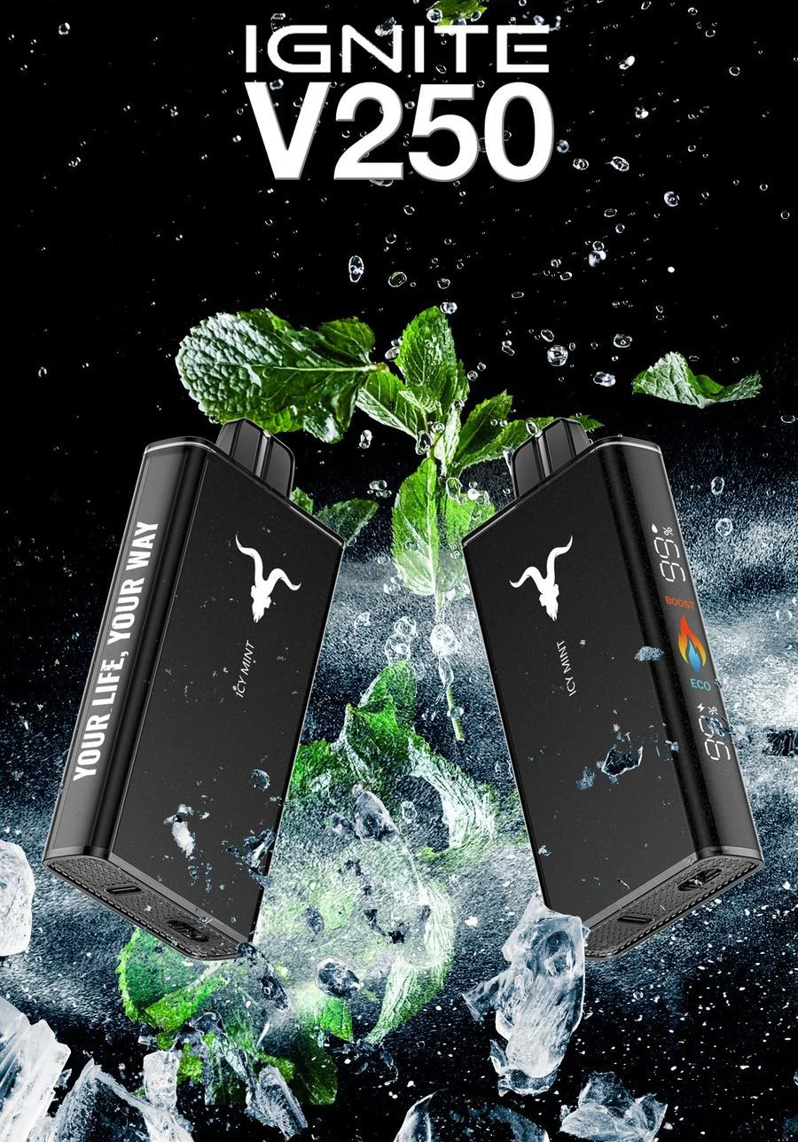 ignitev250icymint_1024x1024@2x Ignite V250 25000 Puffs Icy Mint fresh disposable pod